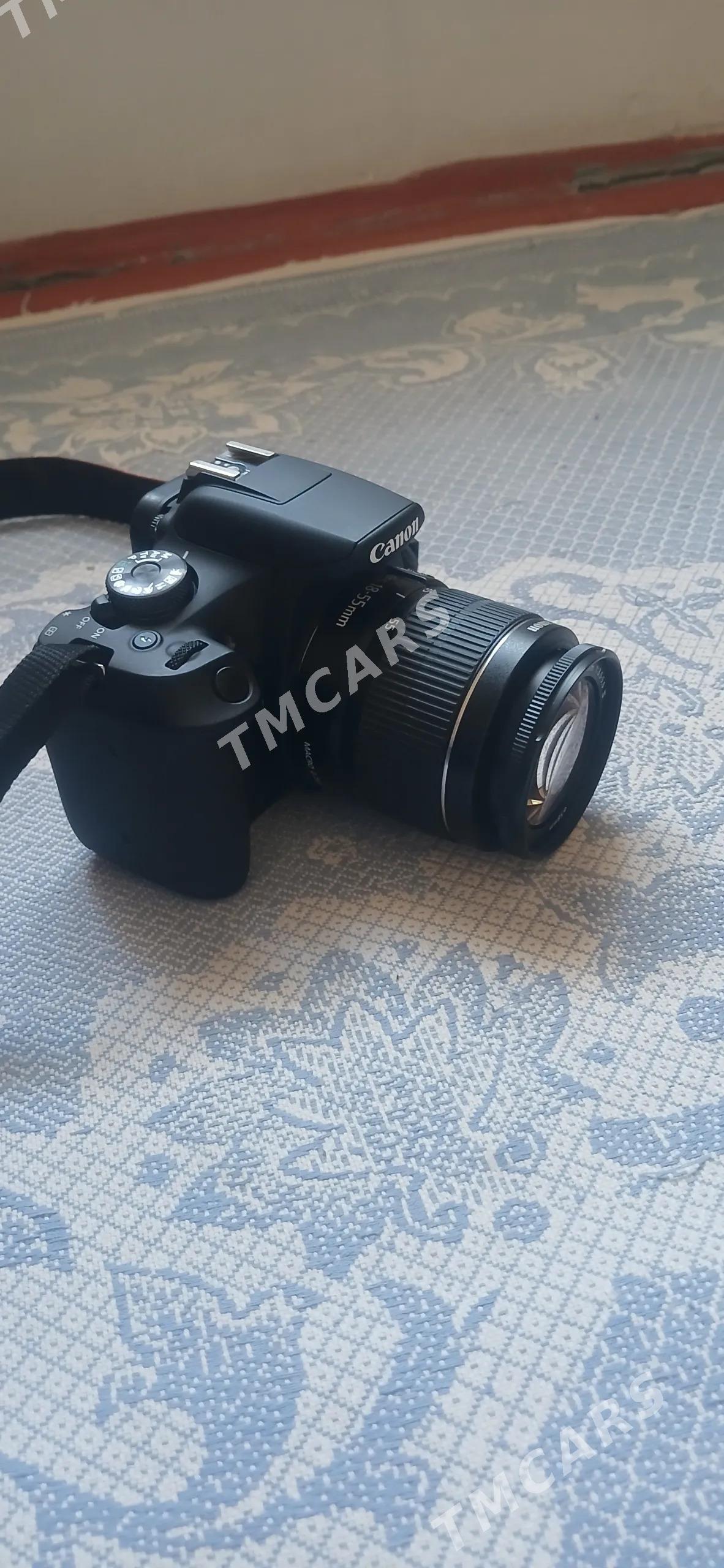 canon - Mary - img 3
