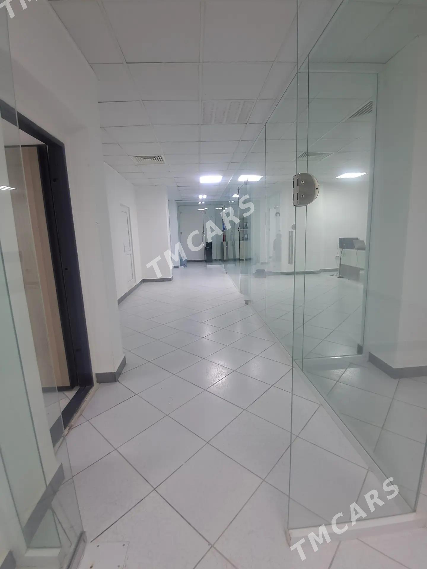 Arenda ofis 5 komnat 320 kw - ул. Московская (10 йыл абаданчылык ш.) - img 9