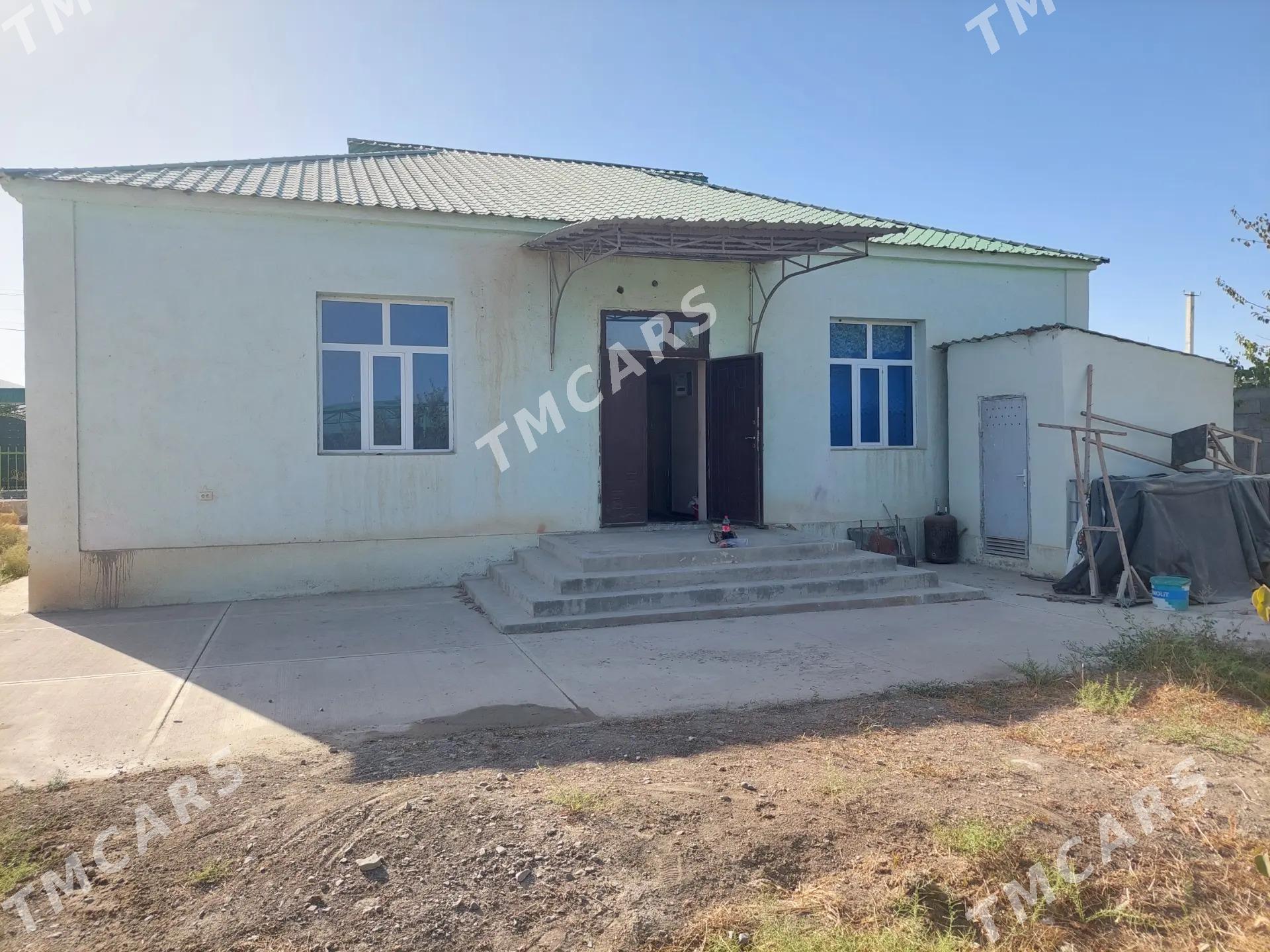 Gokdepe Hurmant obasy - Гёкдепе - img 2