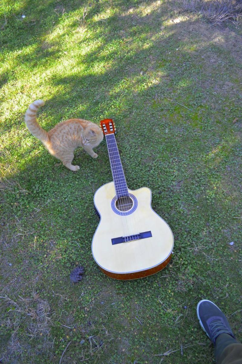 GITARA KOMPLEKT - Türkmenabat - img 3