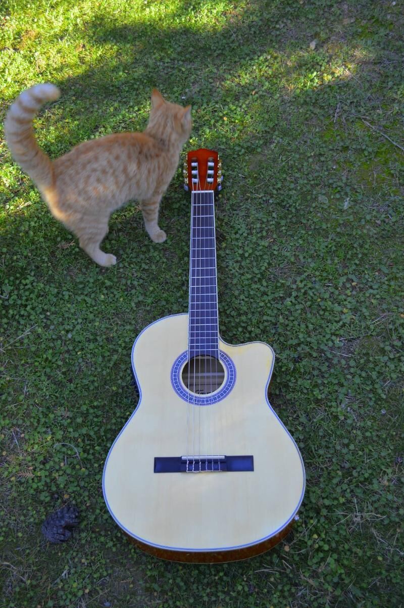GITARA KOMPLEKT - Türkmenabat - img 2