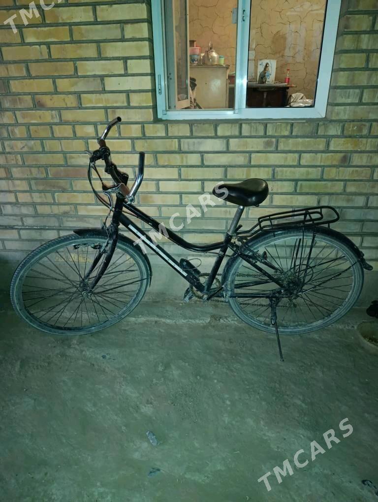 28 welik - Sakarçäge - img 2
