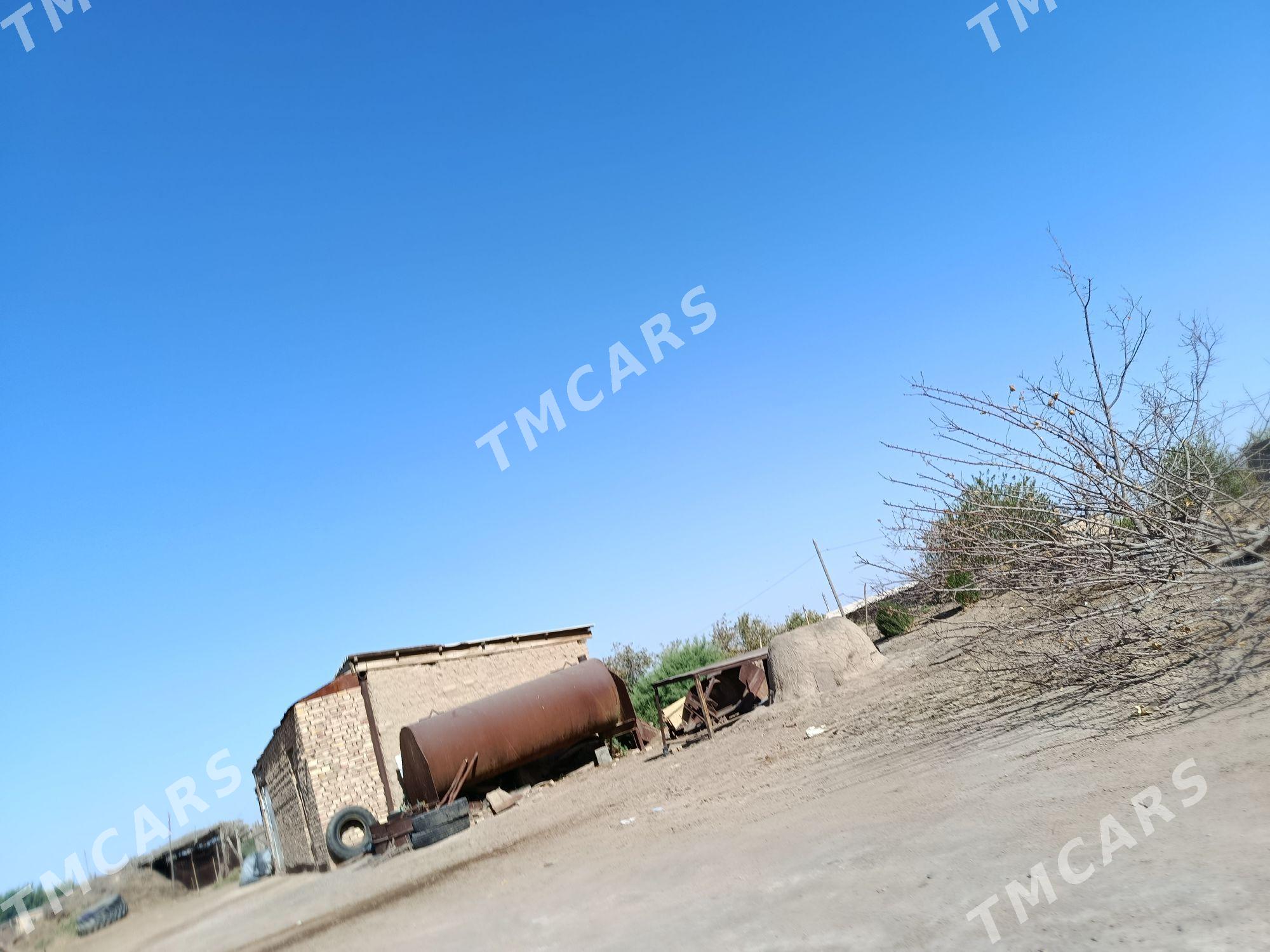 Boçka 3sany - Ёлётен - img 2
