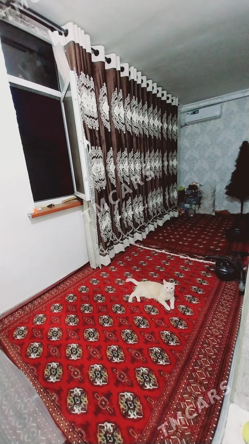 Kwartira - Daşoguz - img 8