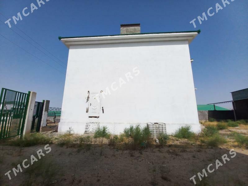 Anew kotez - Анев - img 2
