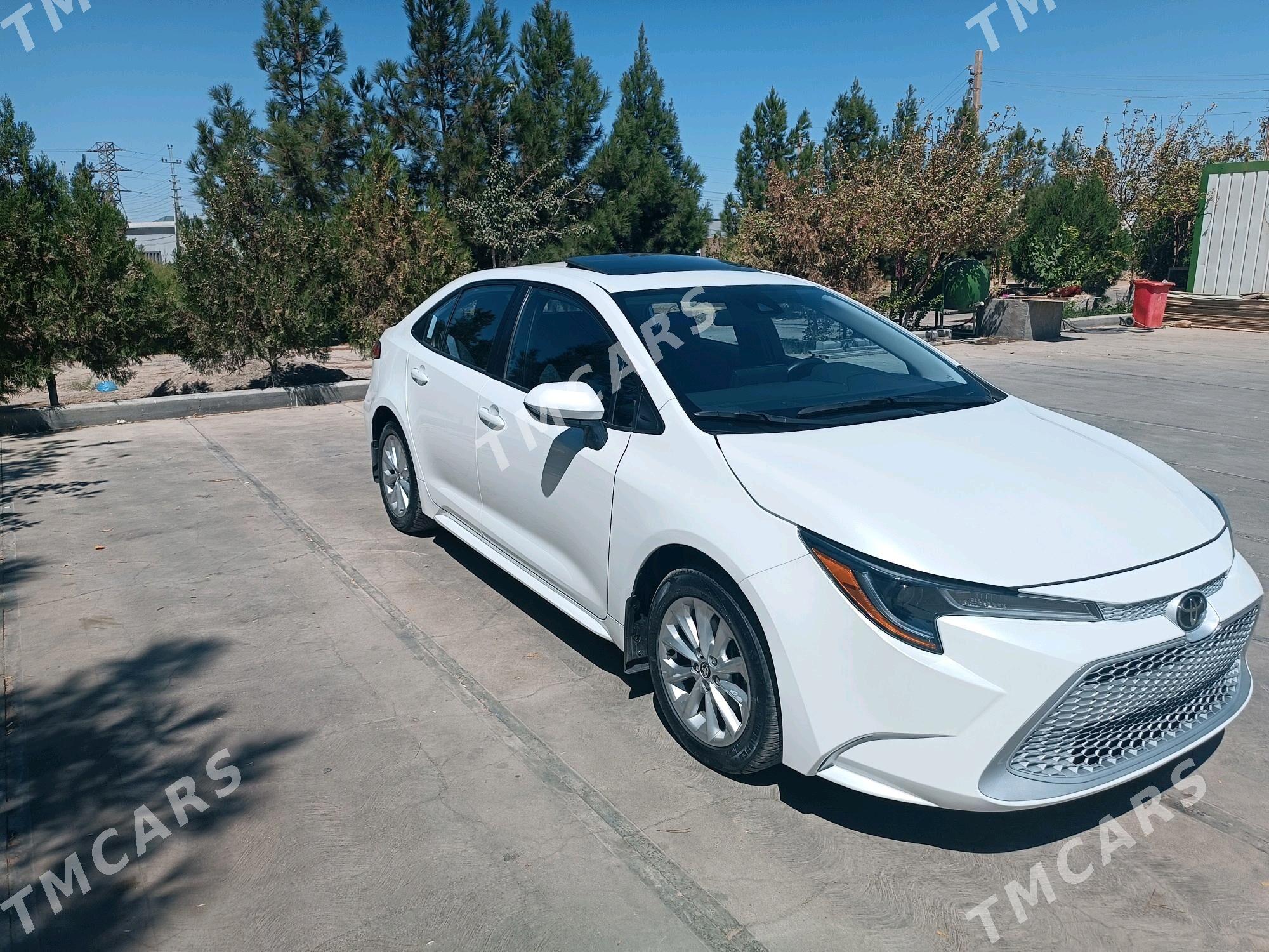 Toyota Corolla 2022 - 250 000 TMT - Мары - img 5