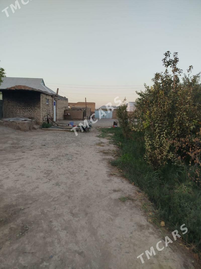 mellek.jay - Кака - img 6