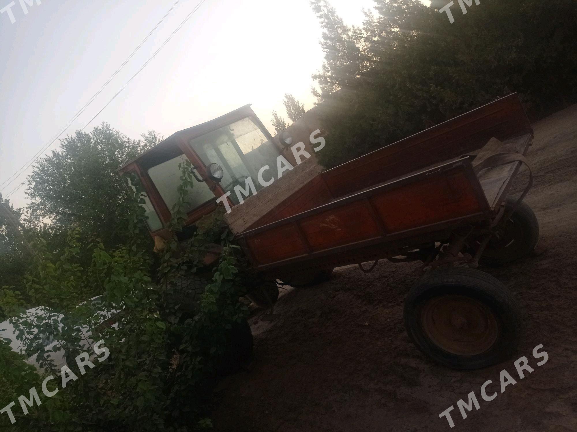 MTZ T-28 2005 - 11 000 TMT - Gurbansoltan Eje - img 2