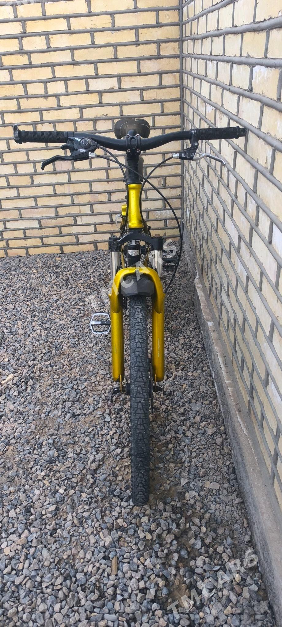 Velosiped - Sakarçäge - img 3
