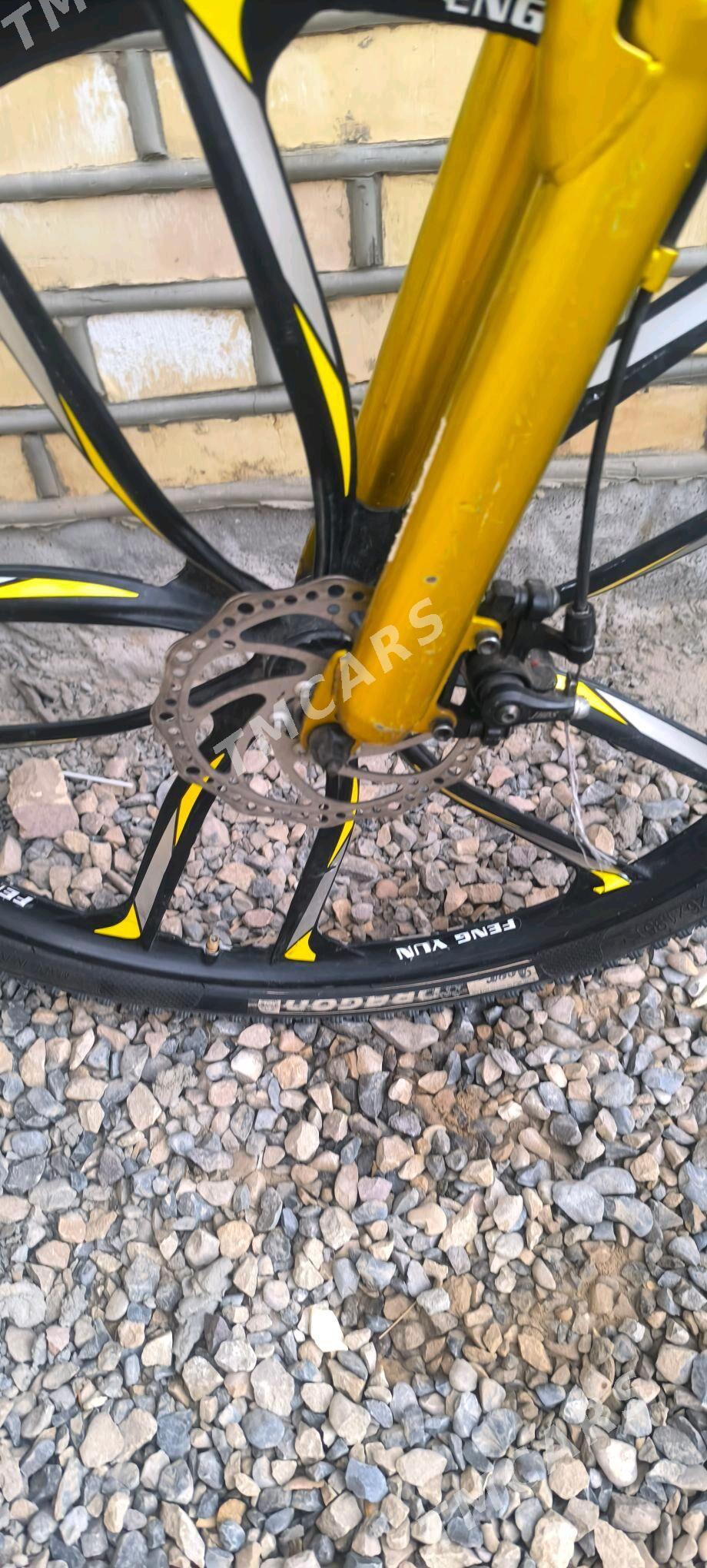 Velosiped - Sakarçäge - img 6
