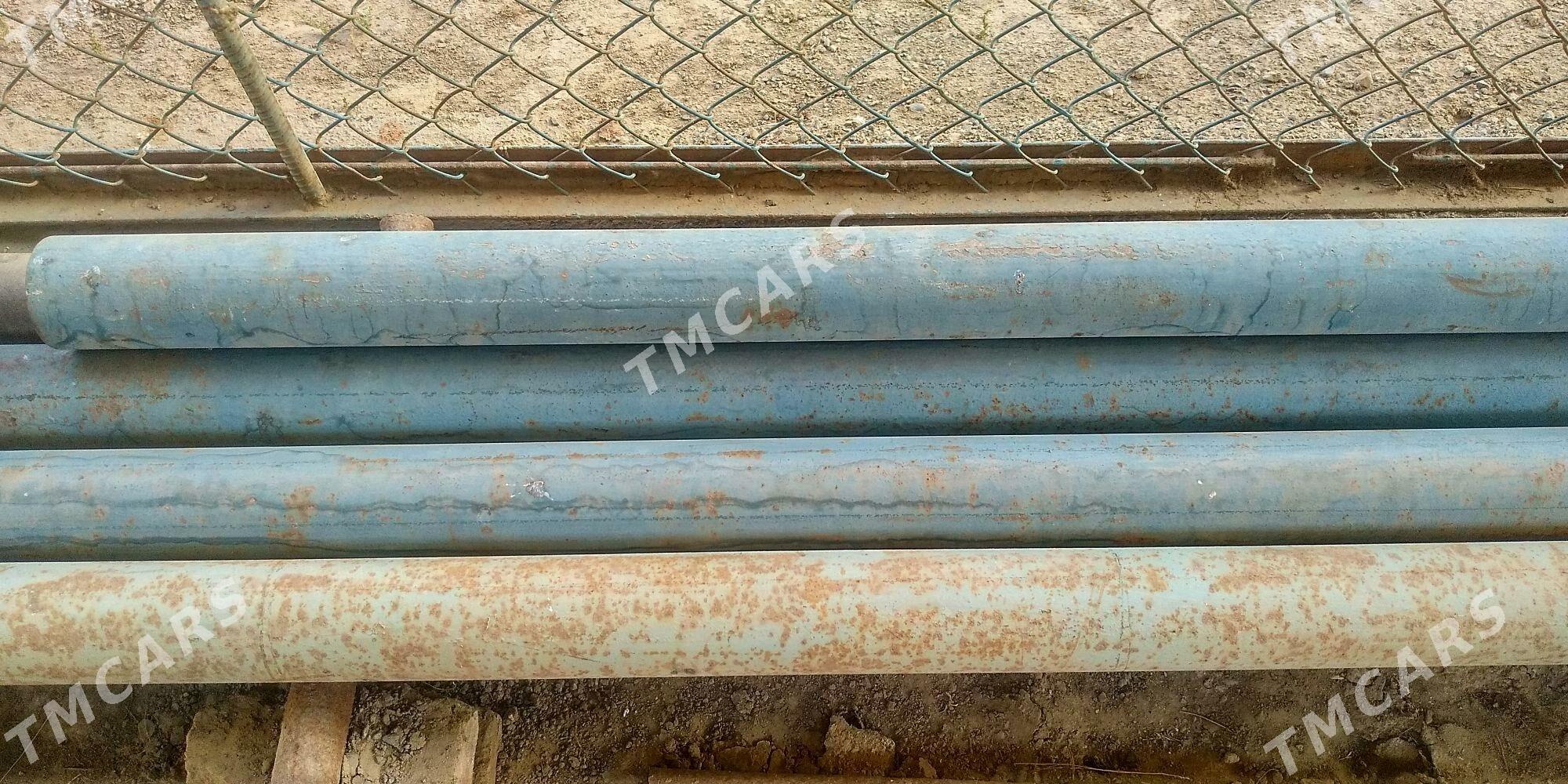 turba sssr 89 - Mary - img 2