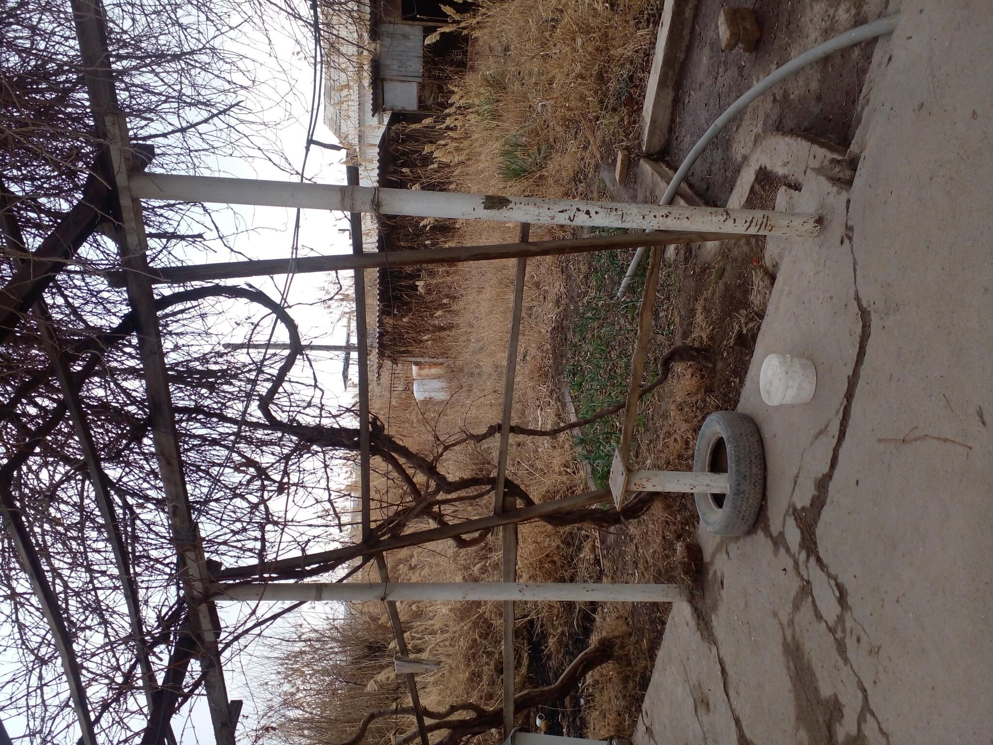 дом - Tejen - img 2