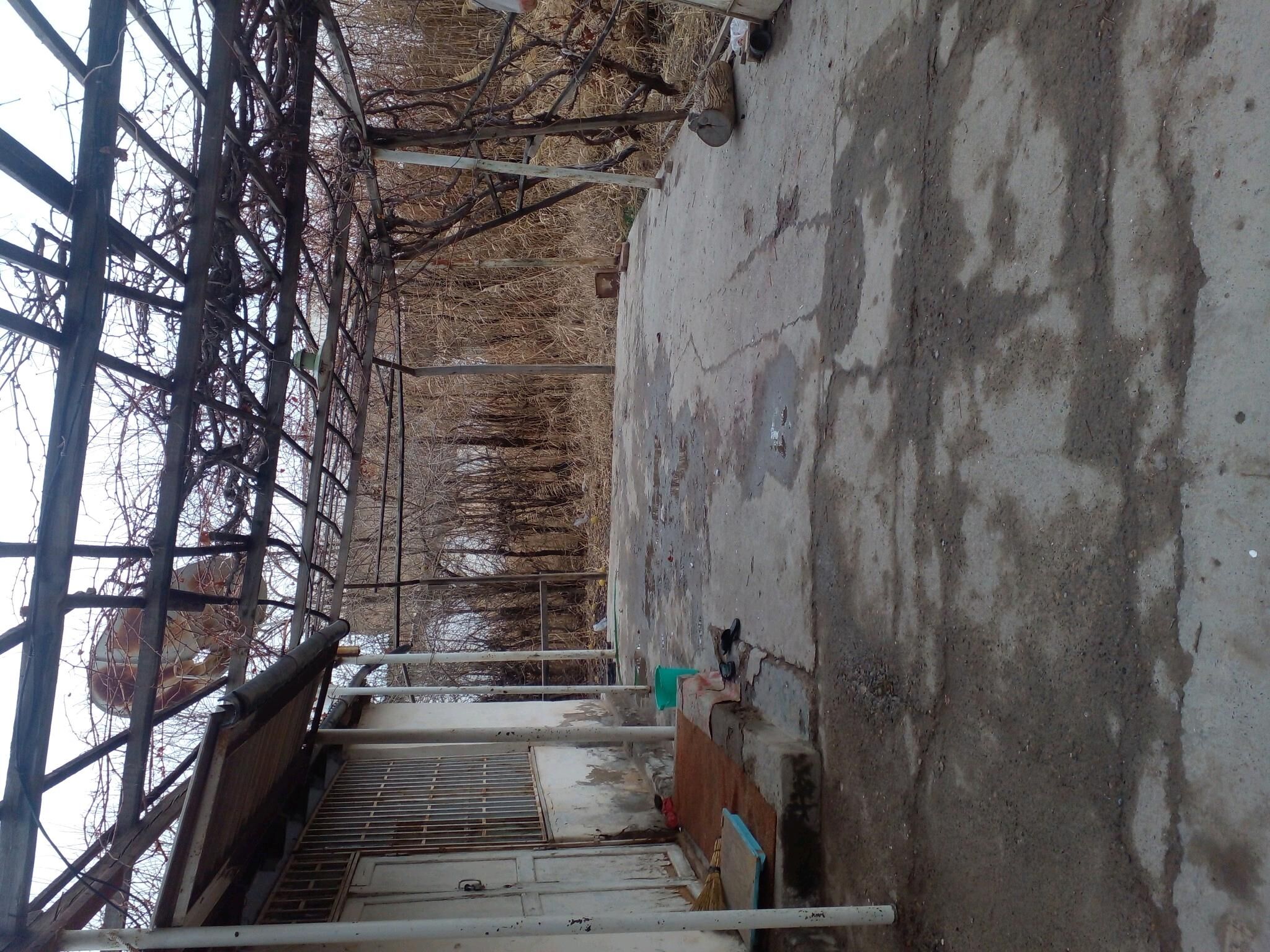 дом - Tejen - img 3