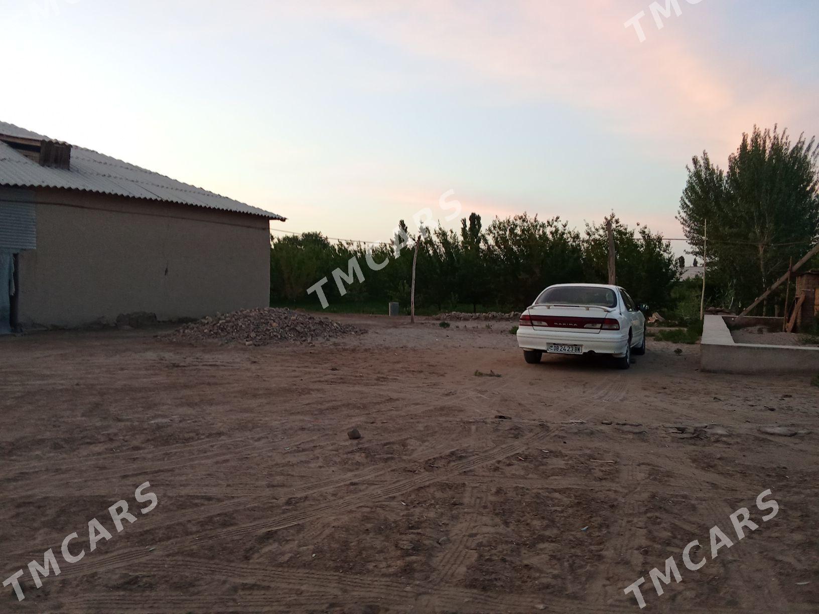 Nissan Maxima 1999 - 50 000 TMT - Garabogaz - img 3