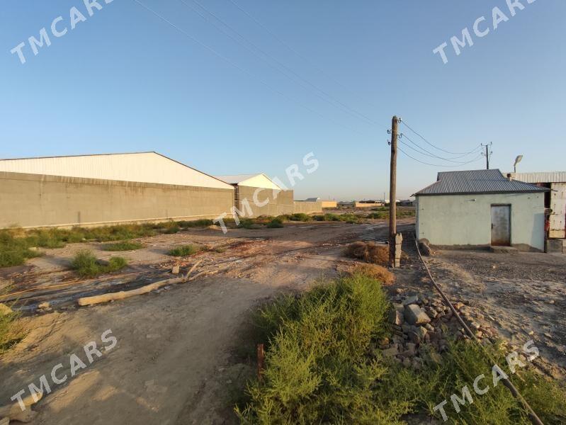 Arenda kone bazaryñ toweregi - Mary - img 2