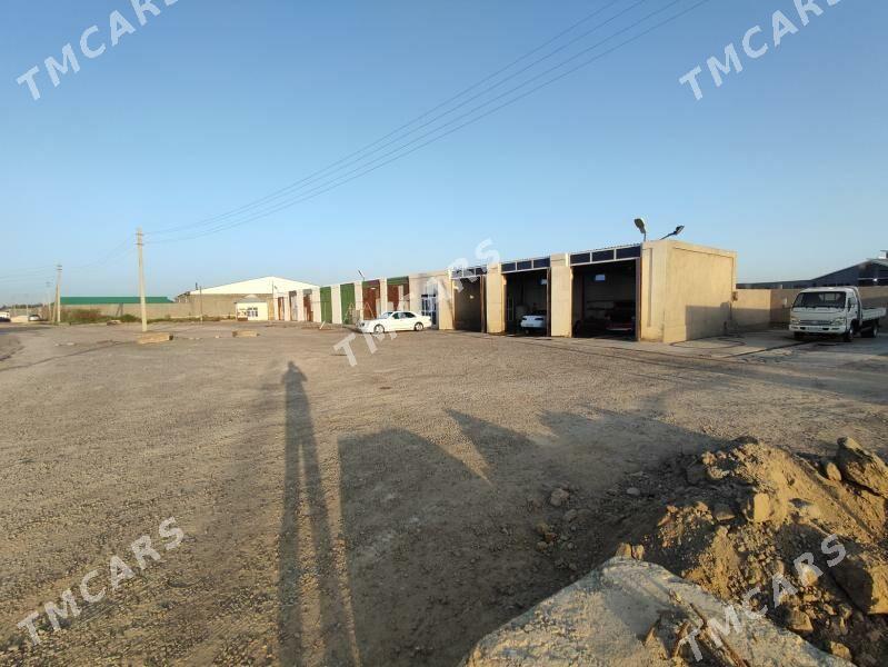 Arenda kone bazaryñ toweregi - Mary - img 3