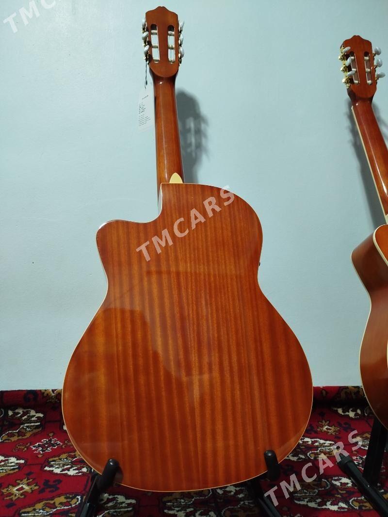 Solo klassik gitara гитара - Daşoguz - img 6