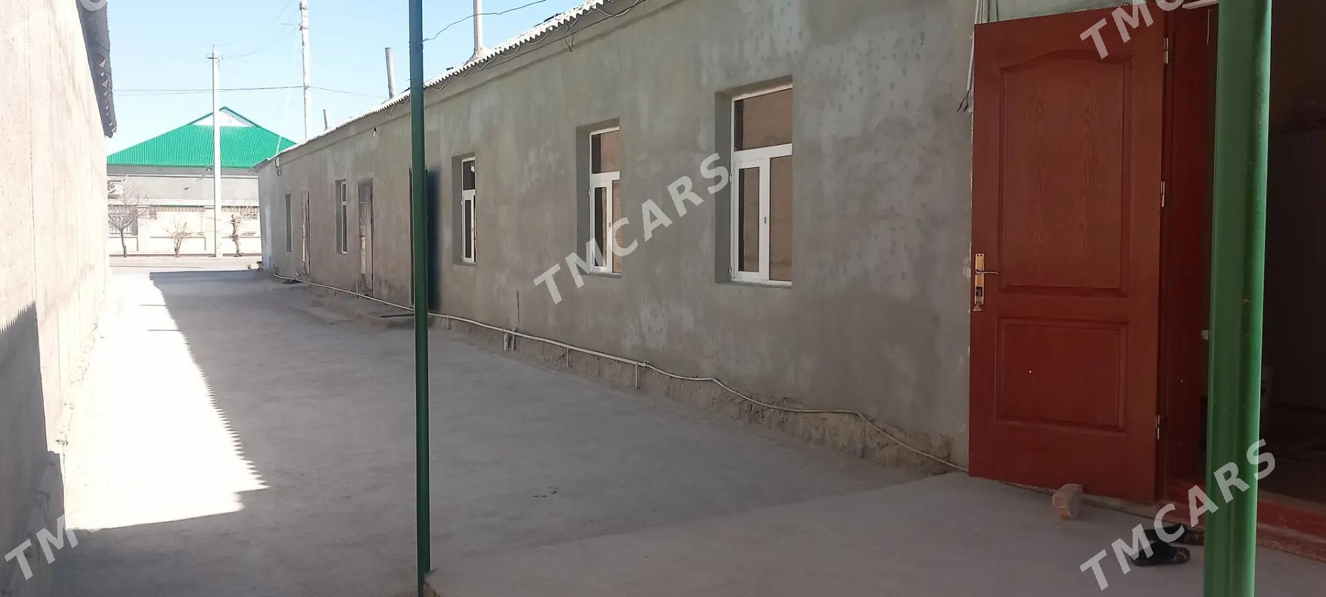 Akdaşaýak - Büzmeýin - img 2