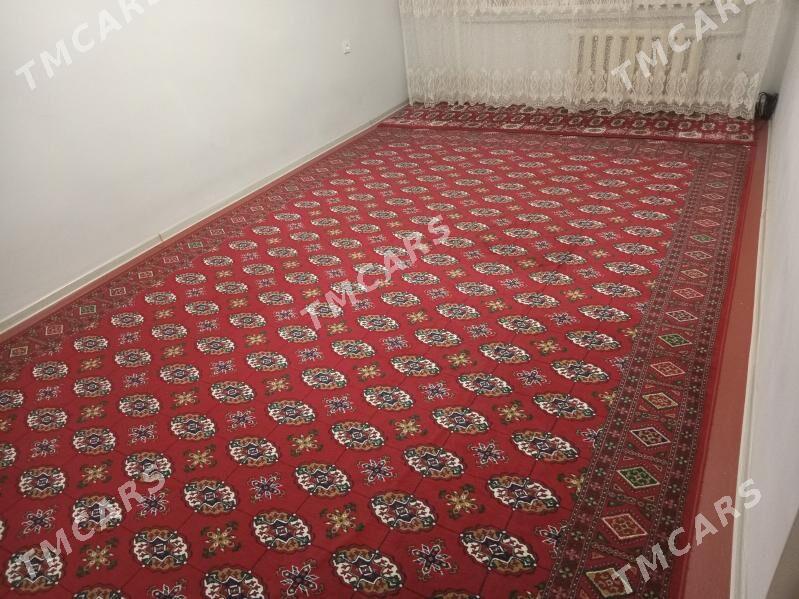 Haly - Дашогуз - img 2