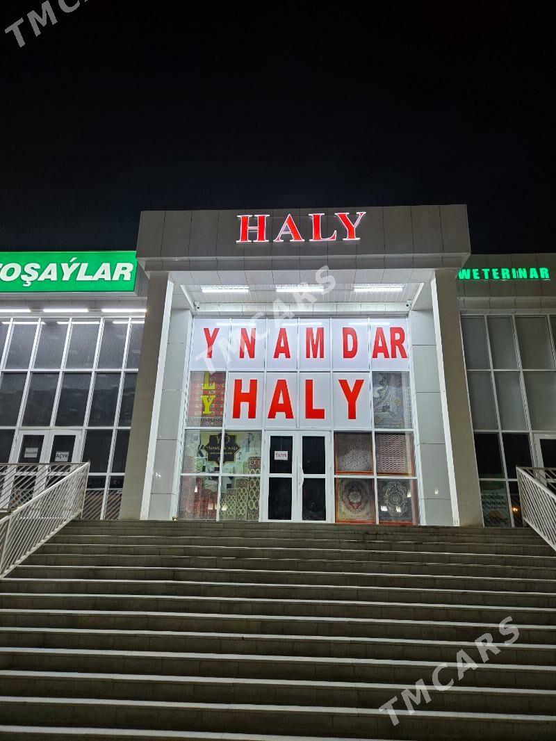 YNAMDAR HALY - Ялкым - img 5