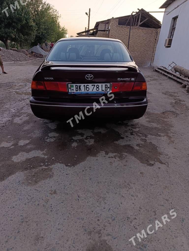Toyota Camry 2001 - 130 000 TMT - Türkmenabat - img 2