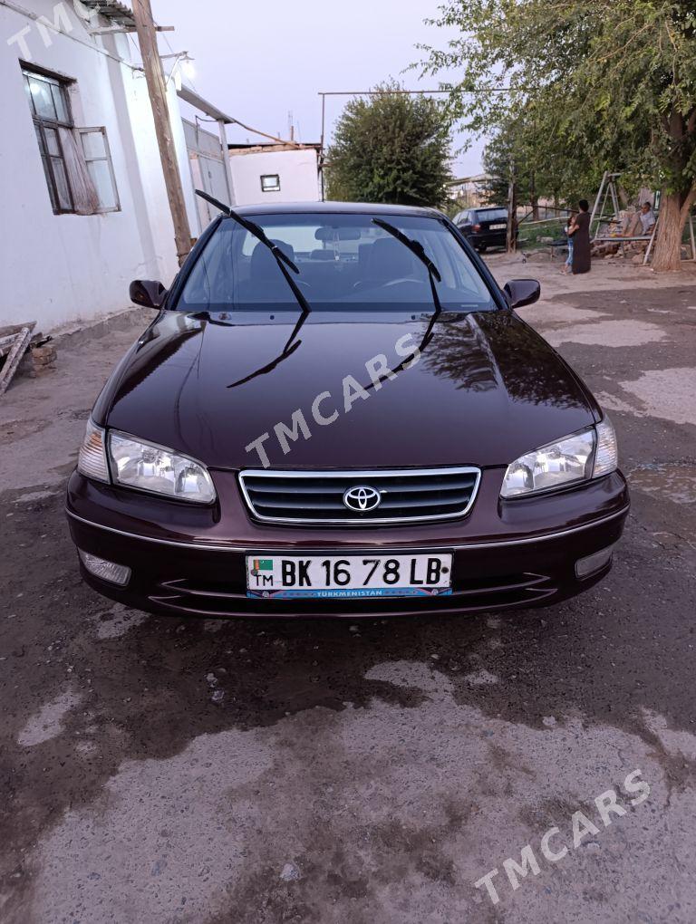 Toyota Camry 2001 - 130 000 TMT - Türkmenabat - img 5