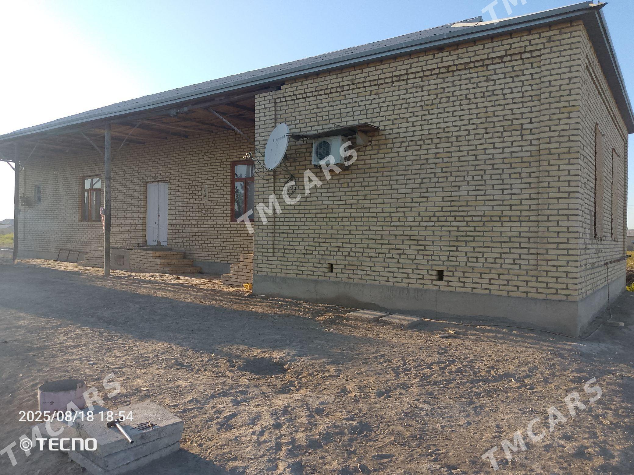 Satlyk jay - Murgap - img 2