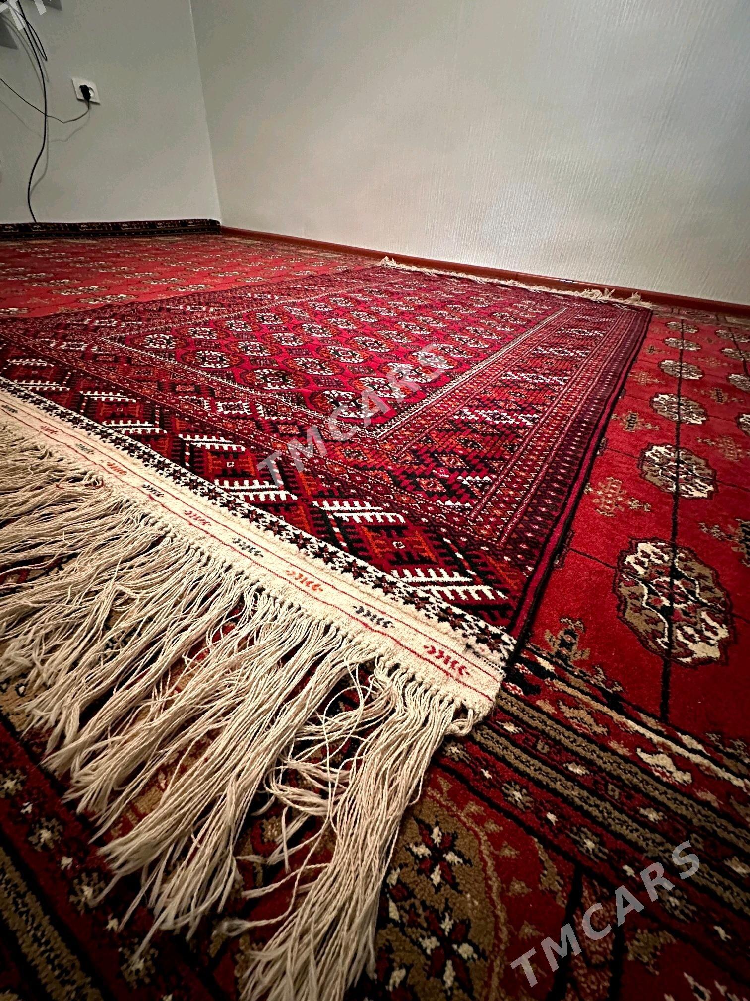el haly - Aşgabat - img 2