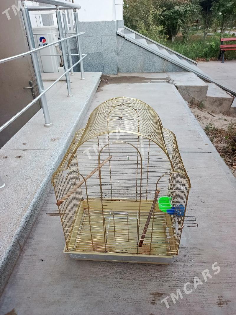 Kiletka - Aşgabat - img 2