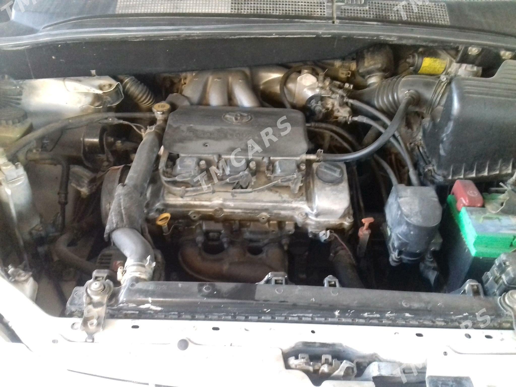 Toyota Sienna 1999 - 130 000 TMT - Tejen - img 5