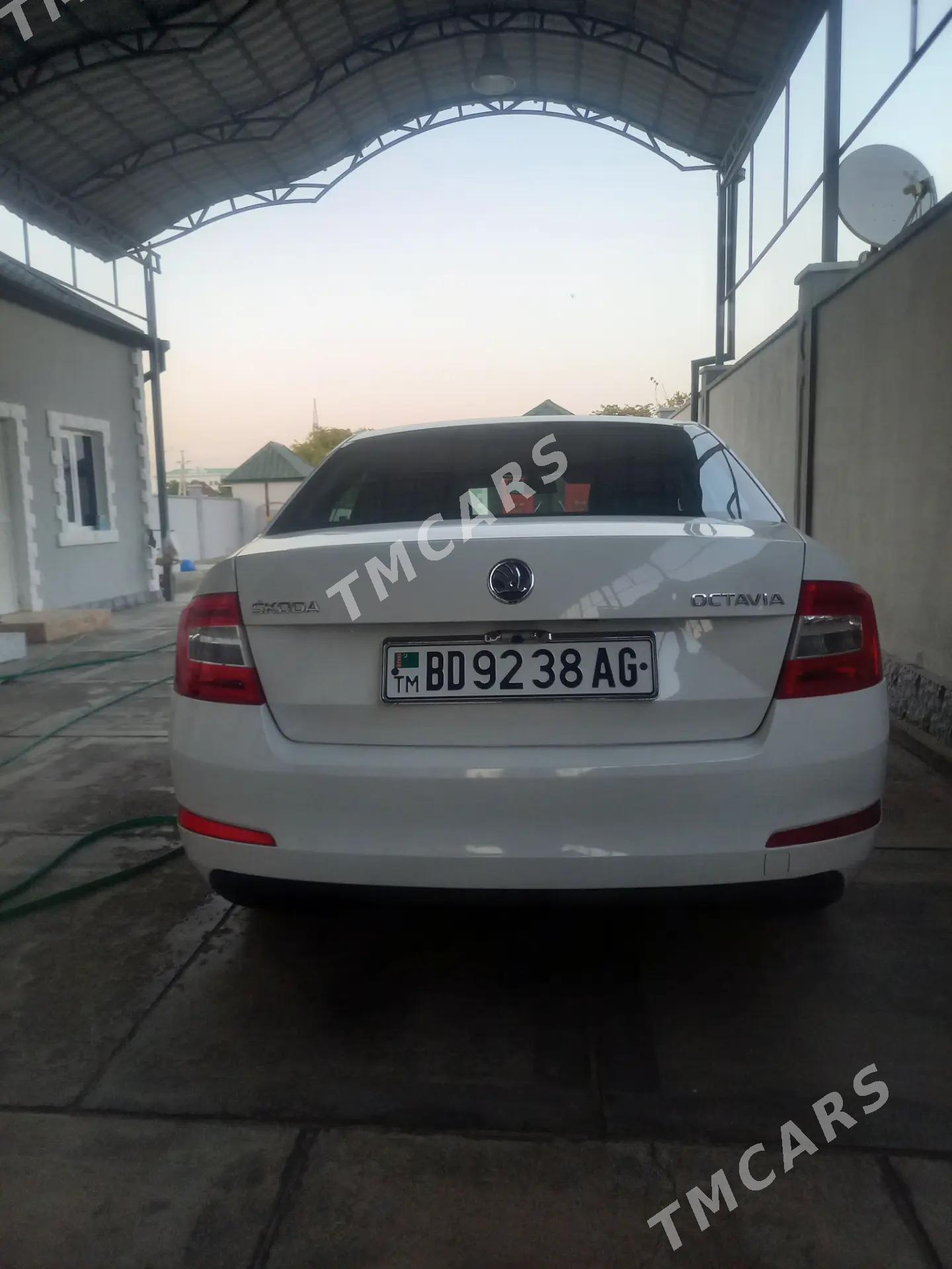 Skoda Octavia​ 2013 - 118 000 TMT - Ашхабад - img 4