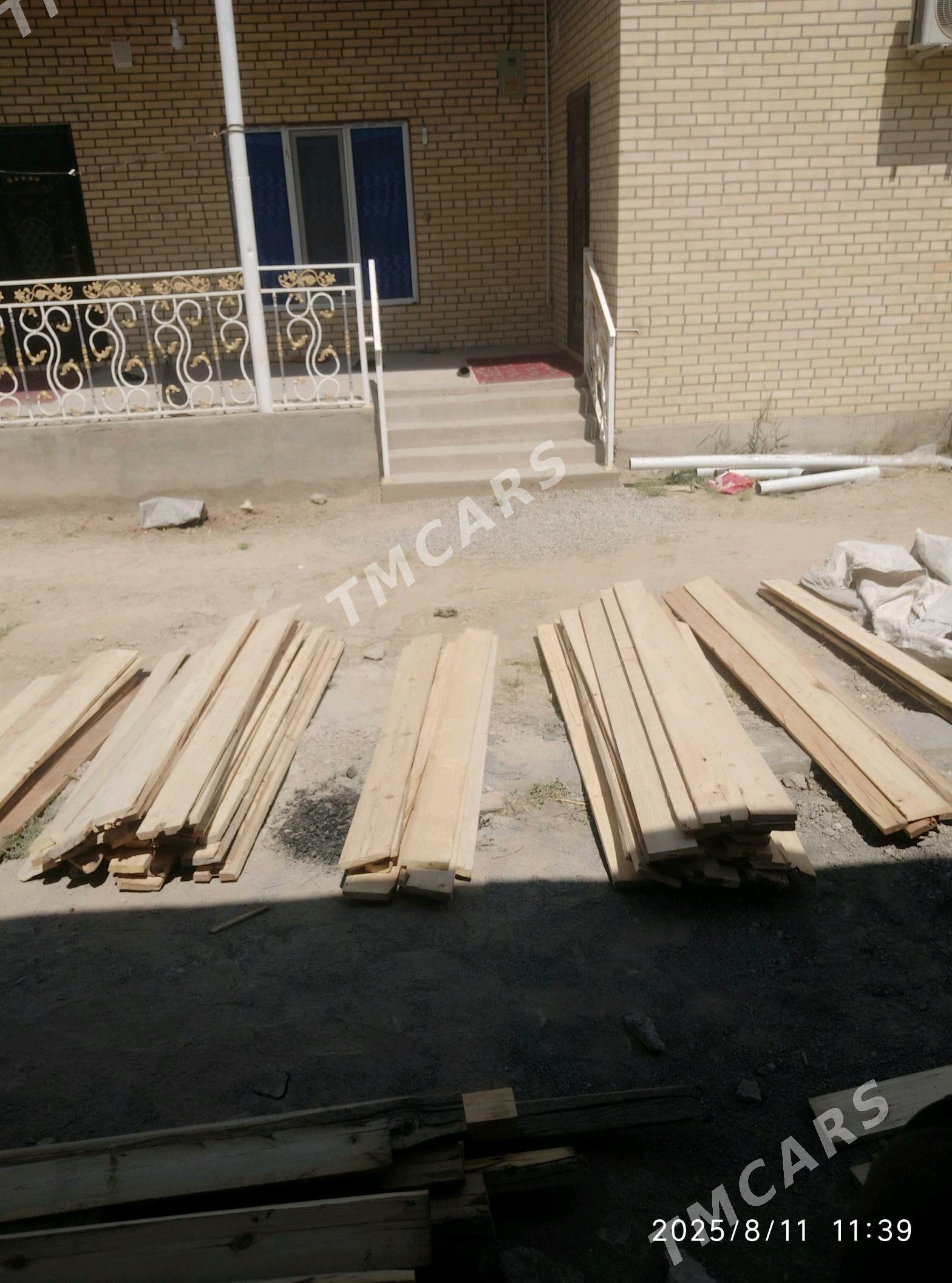 Ağaç pol - Murgap - img 3