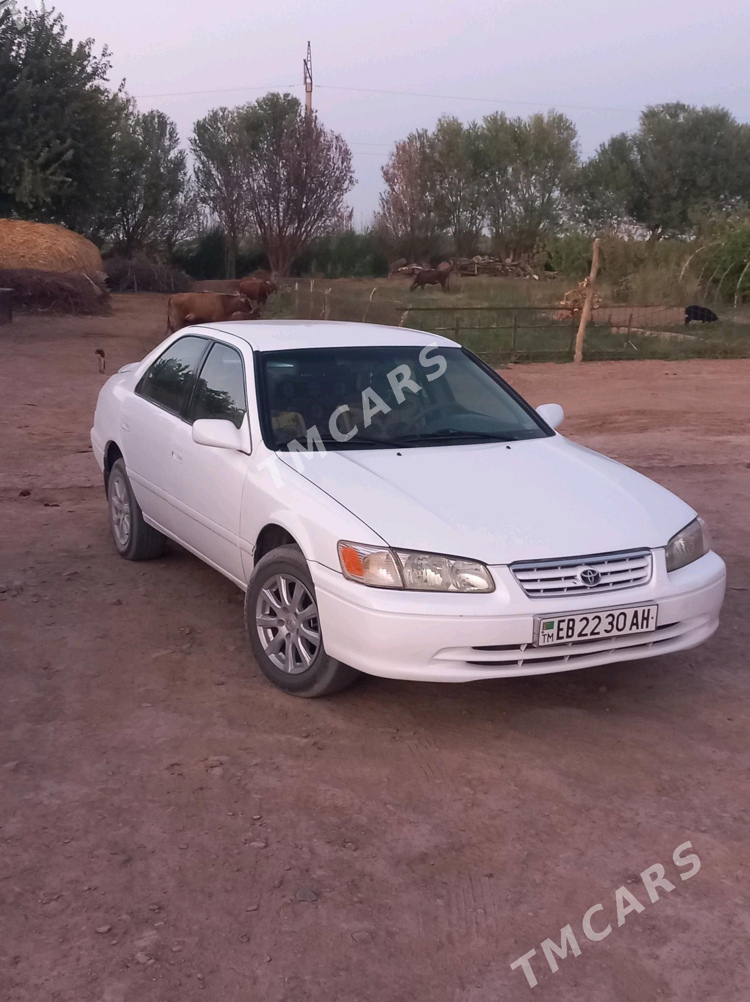 Toyota Camry 2001 - 135 000 TMT - Серахс - img 3