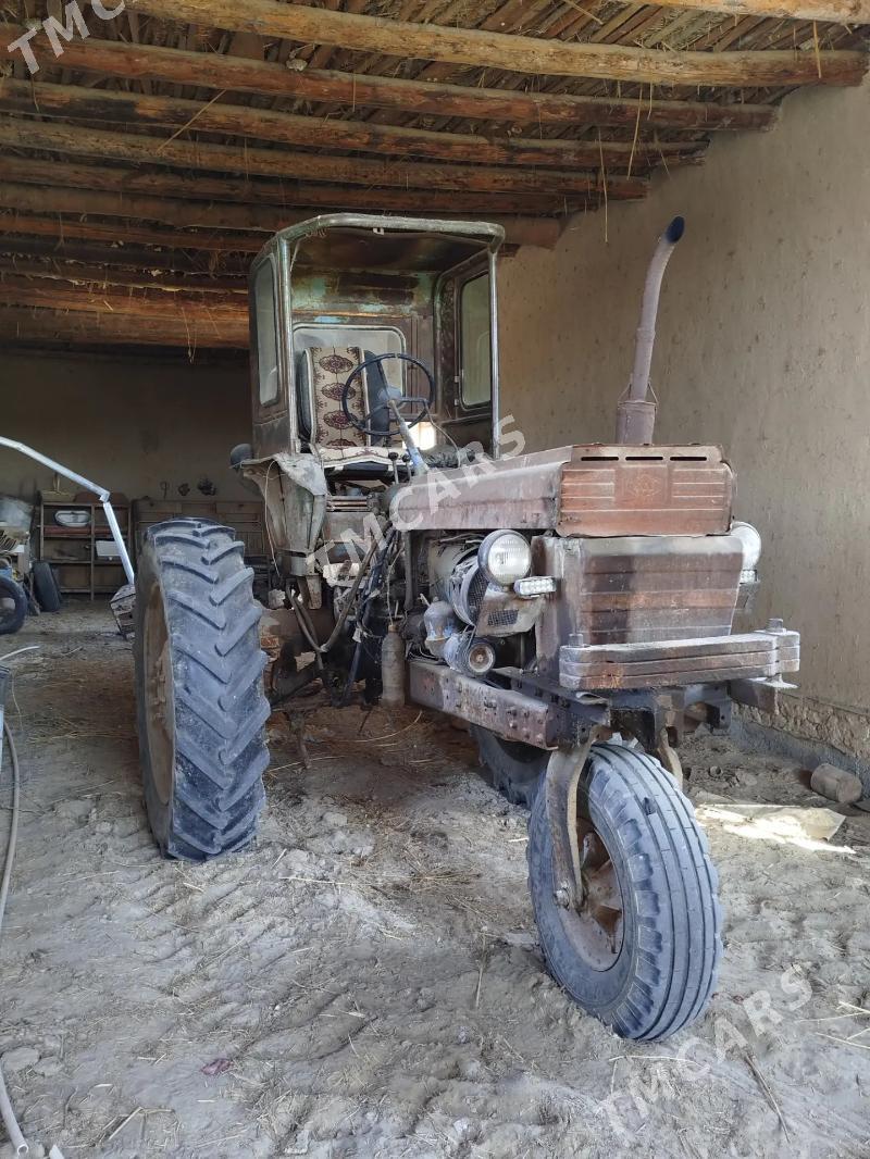 MTZ T-28 1994 - 22 000 TMT - Gurbansoltan Eje - img 2