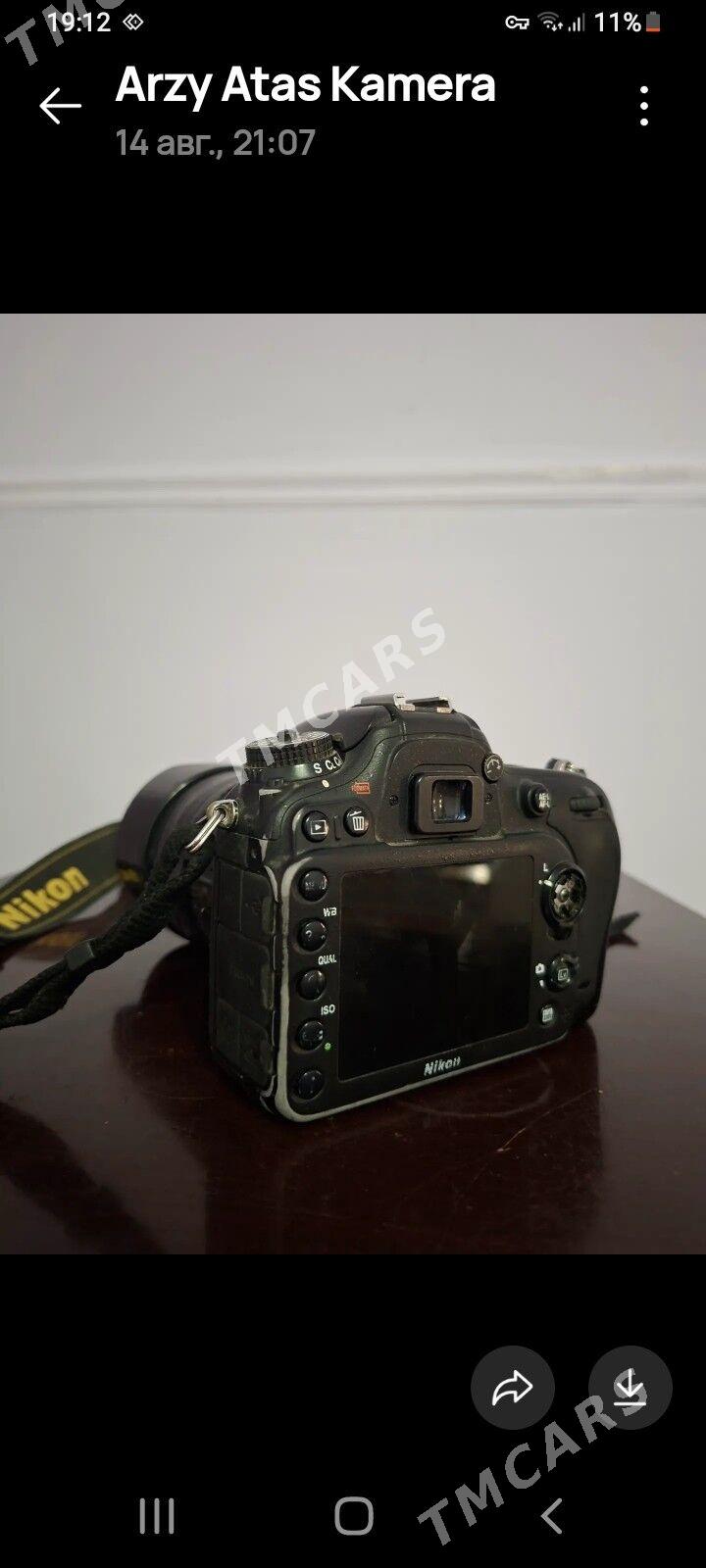 Nikon 7100 - Tejen - img 6