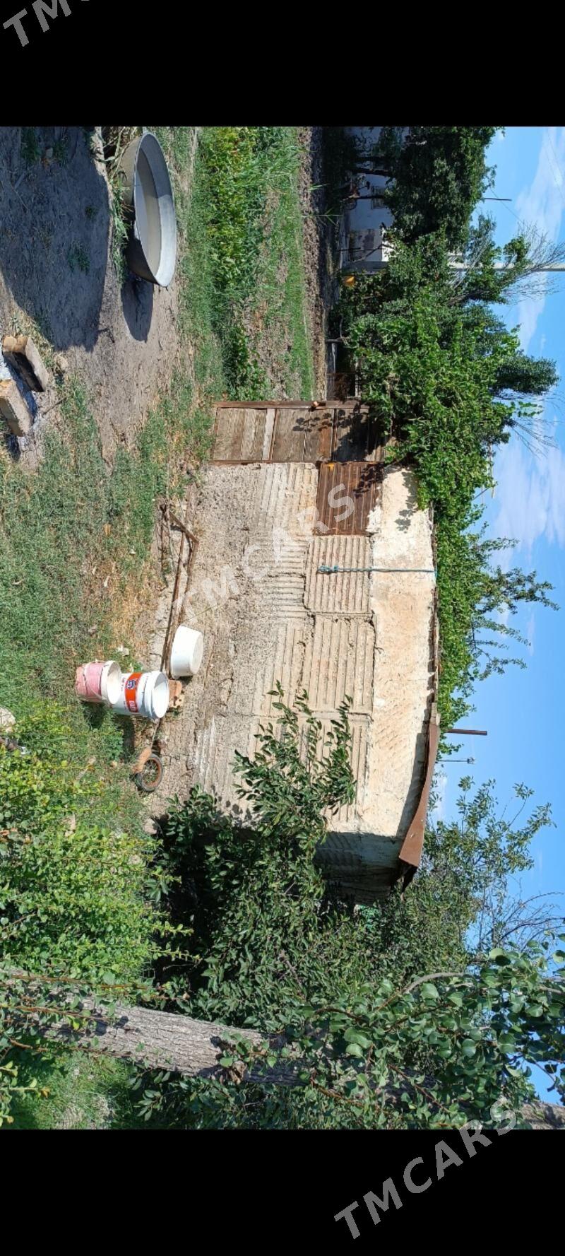 Gres, Miçurin daça - Мары - img 3
