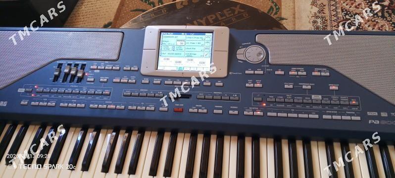 Korg pa800 - Туркменбаши - img 2