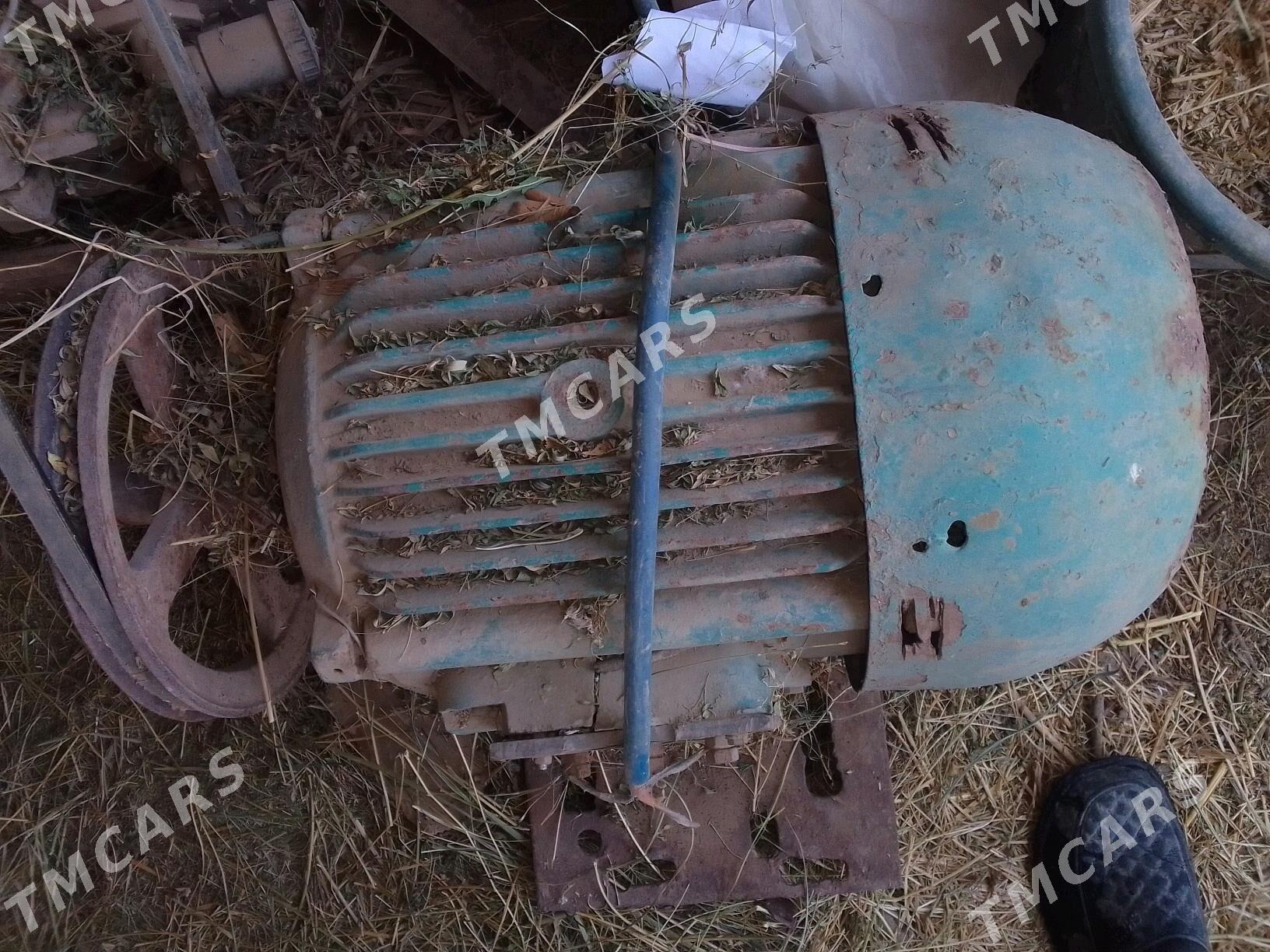 generator diwizok - Теджен - img 3