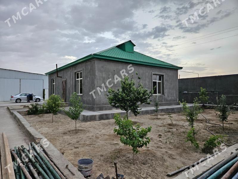 Ofis Änew Офис - Änew - img 2