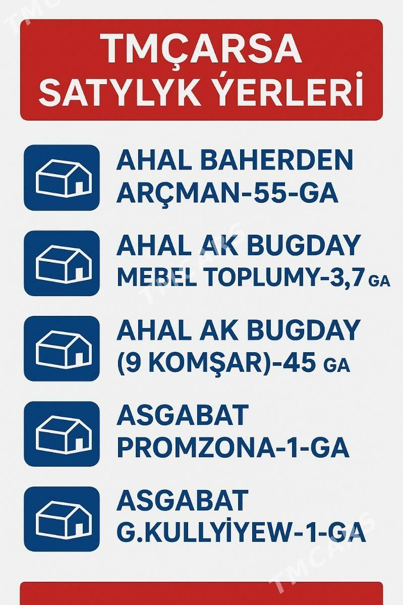 Satlyk önümçilik, söwda - Aşgabat - img 2