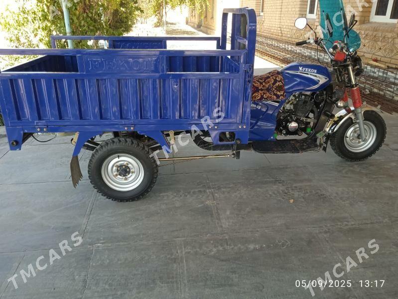 Fekon FK200-14G 2024 - 26 000 TMT - Farap - img 8