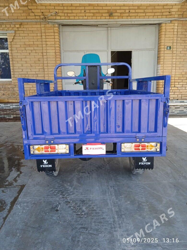 Fekon FK200-14G 2024 - 26 000 TMT - Farap - img 7