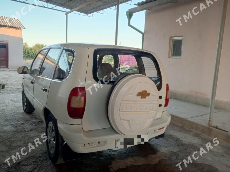 Chevrolet Niva 2006 - 55 000 TMT - Гороглы (Тагта) - img 3