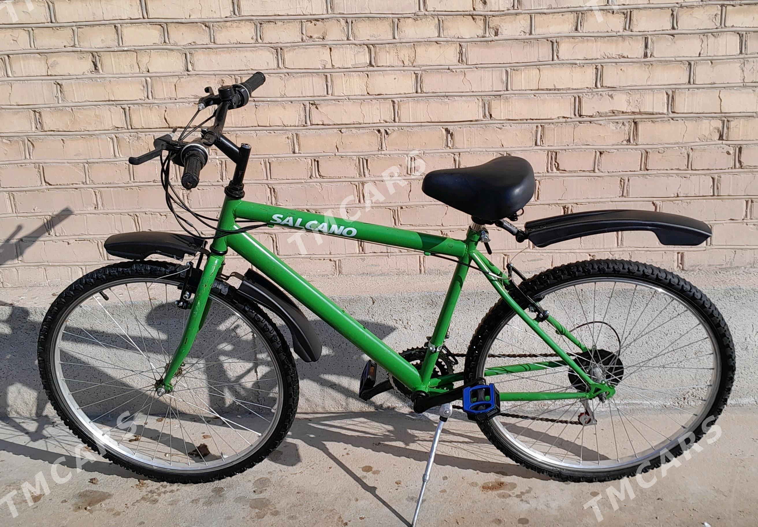 Turkmenistan tigir - Бабадайхан - img 2