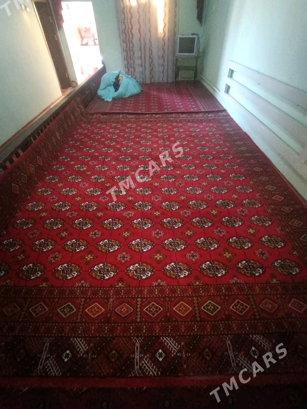 HALY - Дашогуз - img 2