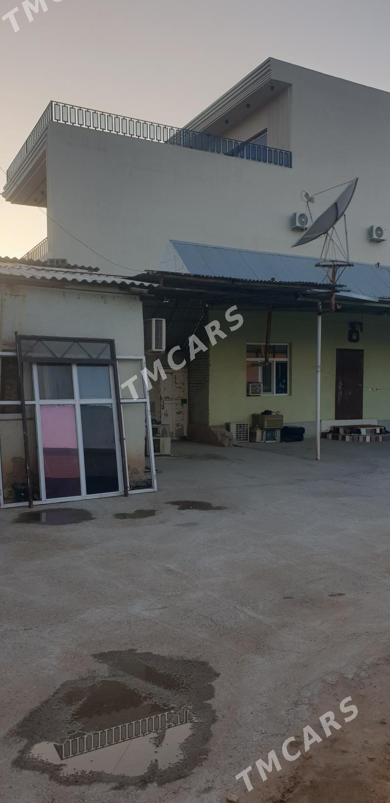 Änew Ahall  köçe - Änew - img 2