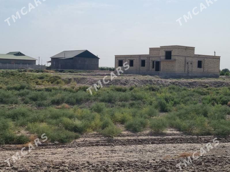 Satlyk Jay - Кёнеургенч - img 1