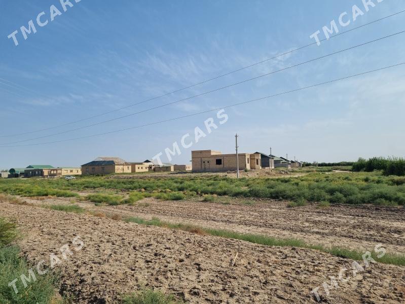 Satlyk Jay - Кёнеургенч - img 6