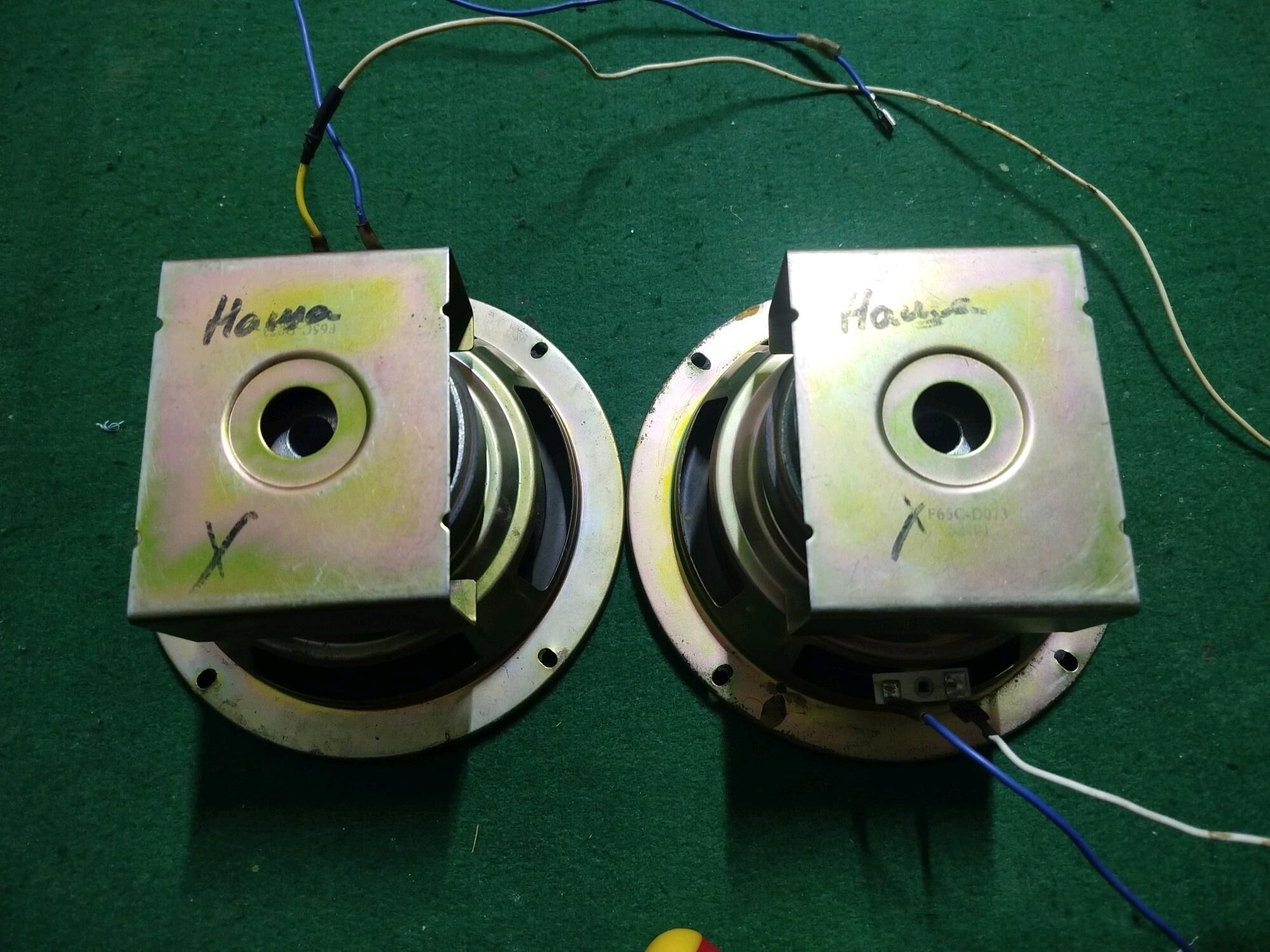 kalonka bass 300 TMT - Дашогуз - img 3