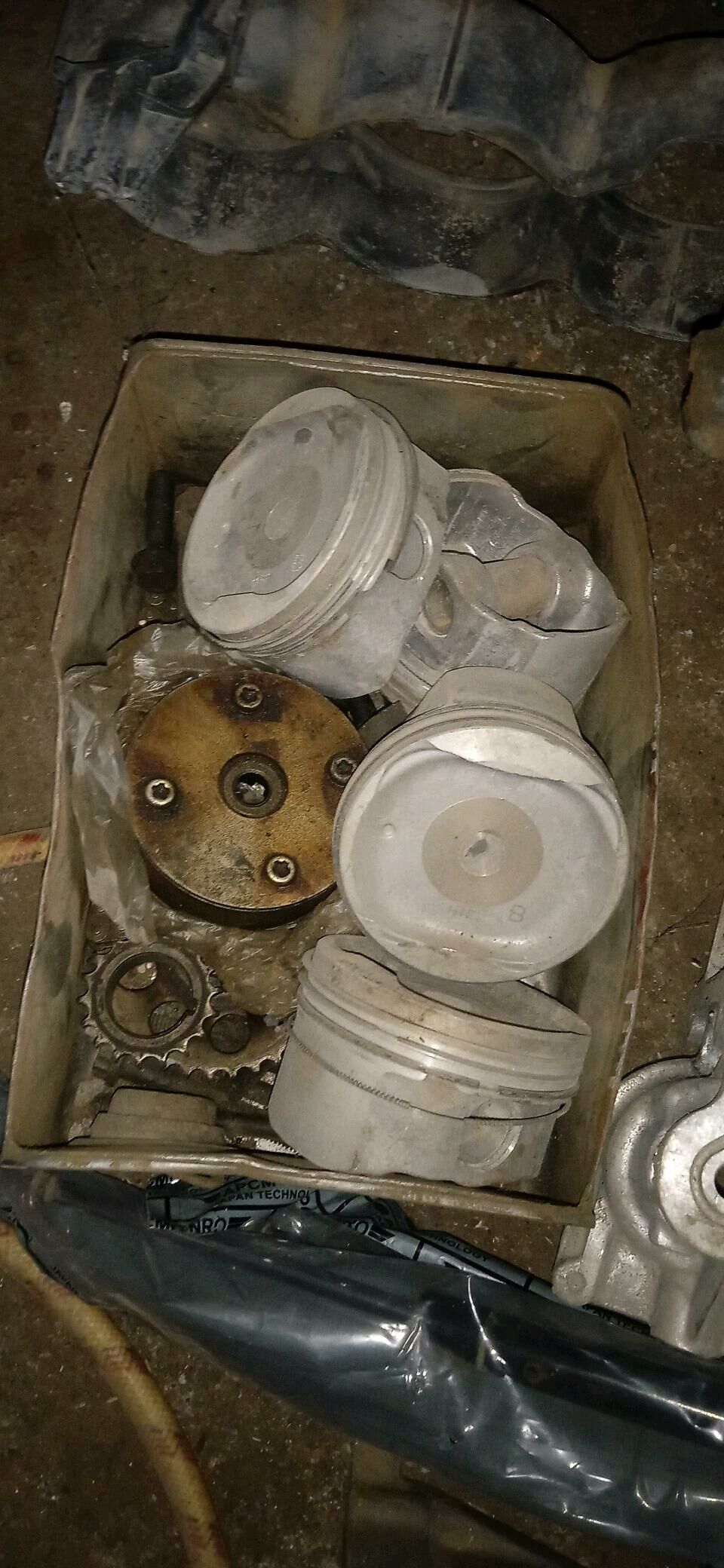 2.4 okuz kelle mator zapcast 800 TMT - Garagum etraby - img 2